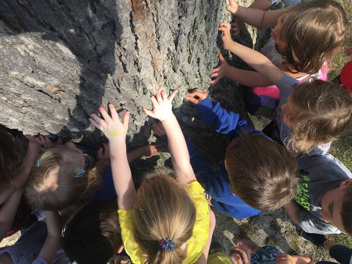 Students at Lake Erie Nature & Science Center explore the texture and beauty of a tree.